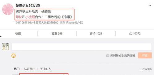 300粉丝怎么开微头条,开启你的自媒体之旅